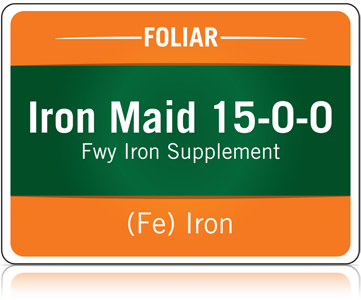 IRON MAID迅綠